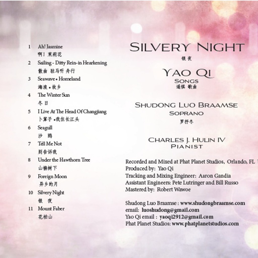 Silvery Night Back Cover